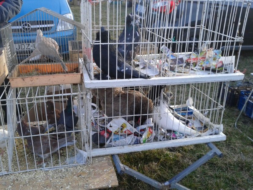 Fotografie0220 - 19 --- targ monor 12 03 2017