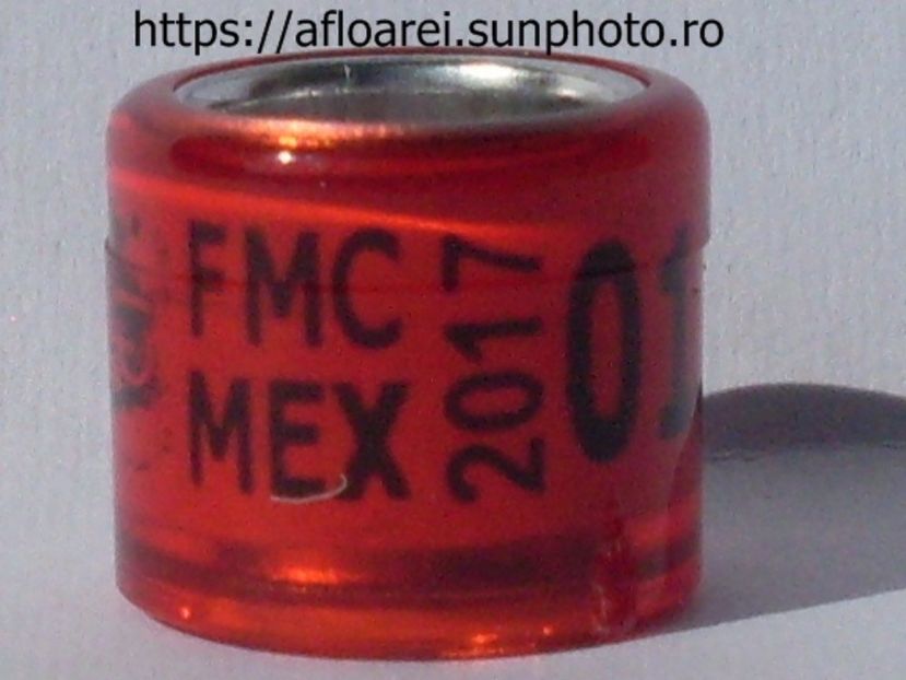 FMC MEX 2017 - MEXIC