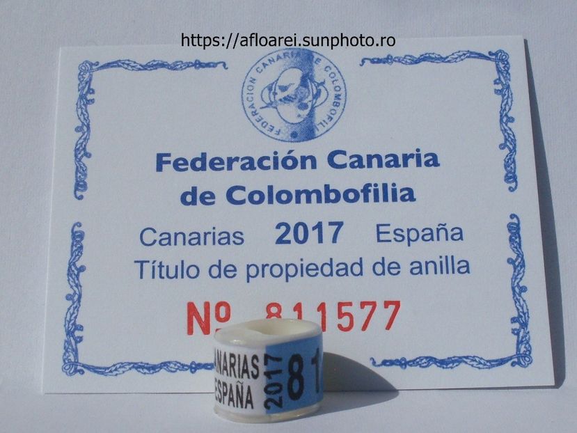 FCC CANARIAS ESPANA 2017 ICOM - CANARIA