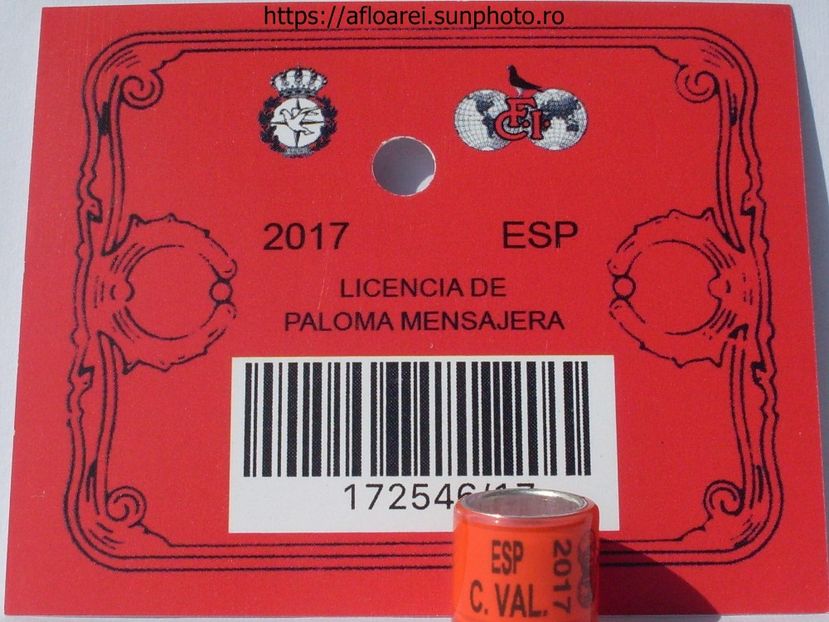 ESP C.VAL 2017 - VALENCIA