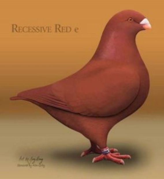 Perechea Nr.3 - Perechi 2017