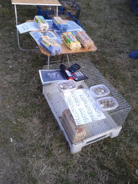 Fotografie0230 - 19 --- targ monor 12 03 2017