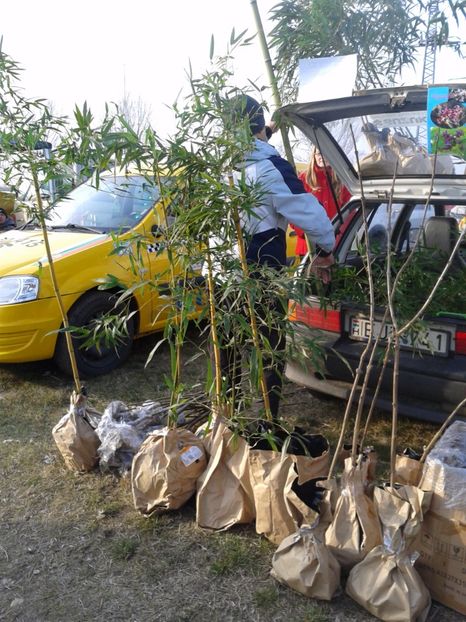 Fotografie0250 - 19 --- targ monor 12 03 2017