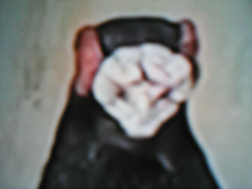 FILIP MELO     PORTUGALIA - CONTACT