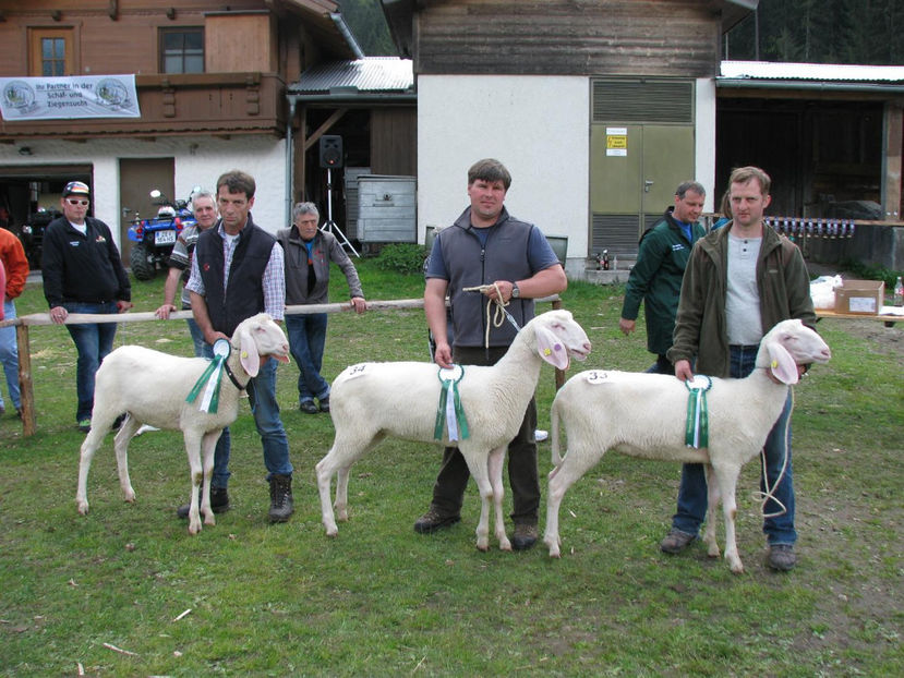 La concurs-r544 - Rase de oi si capre poze deosebite 13