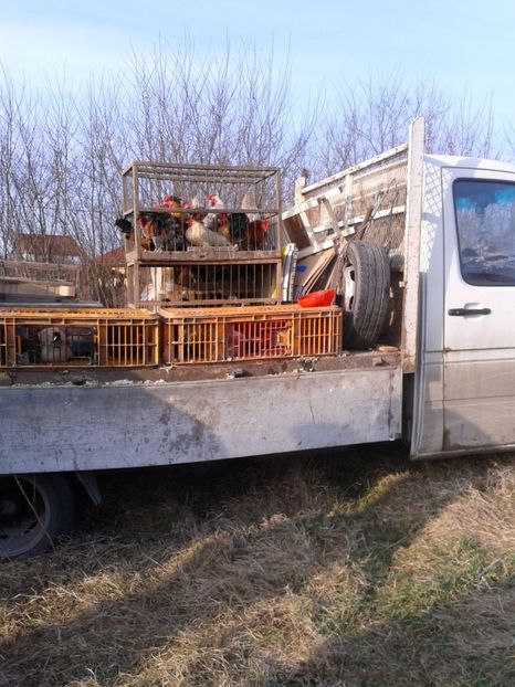 Fotografie0318 - 19 --- targ monor 12 03 2017