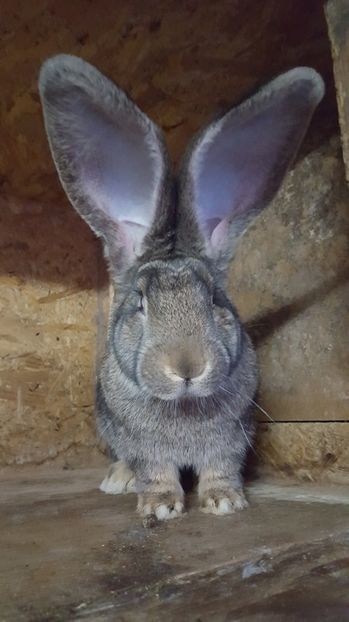  - Femeluta 3 luni si 2 saptamani