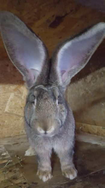  - Femeluta 3 luni si 2 saptamani