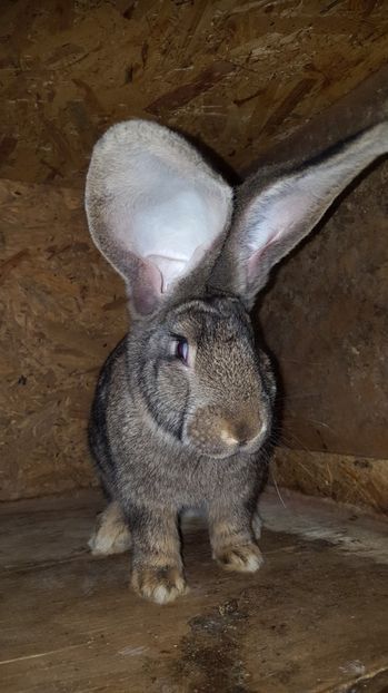  - Femeluta 3 luni si 2 saptamani