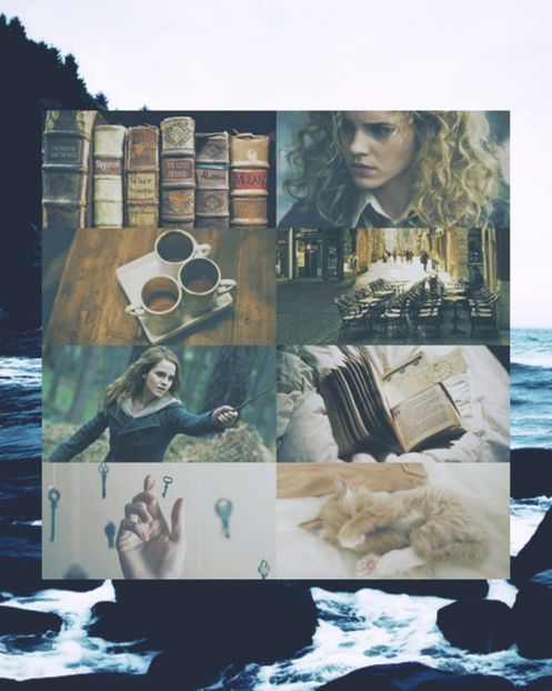 iwontwrite ♔ Hermione Granger - though we built a dinasty forever