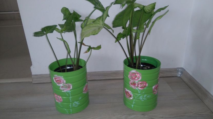 Plantele nu sunt incluse - Ghivece decorate manual