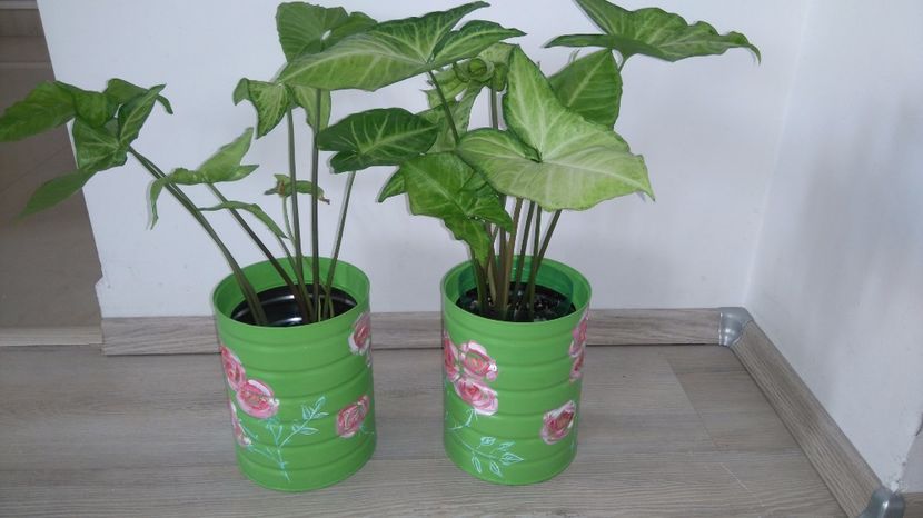 Ghivece fantezie decorate manual - Ghivece decorate manual