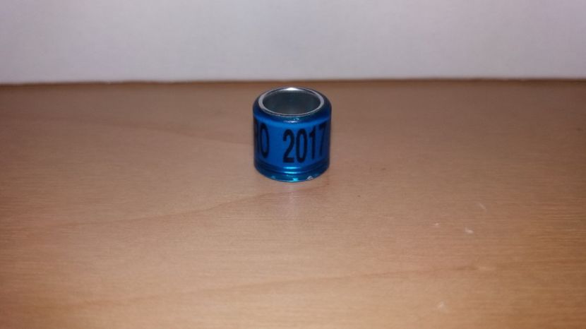  - Inele Romania - 140 piese