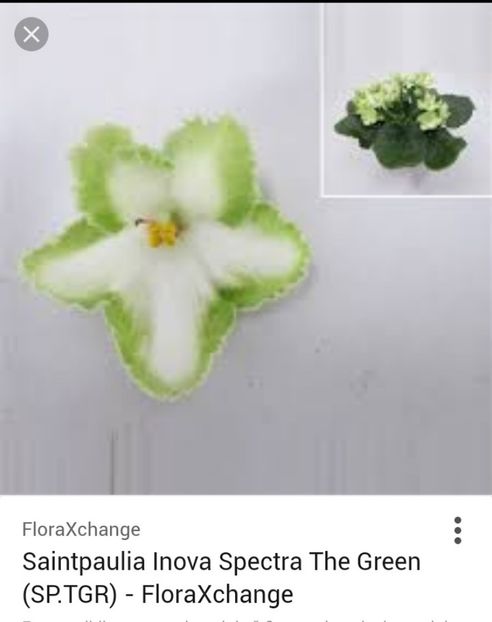  - Inova Spectra Color The Green