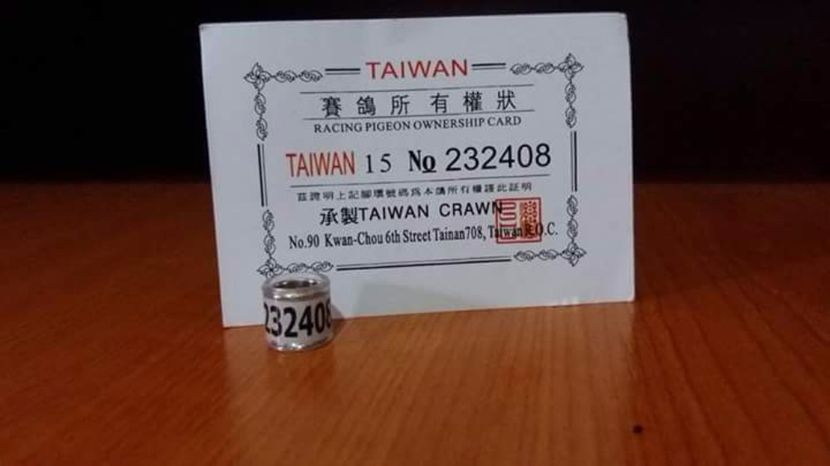  - Inele Taiwan