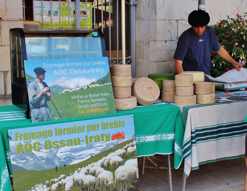 Cascavalul de oaie la vanzare - Rase de oi si capre poze deosebite 13