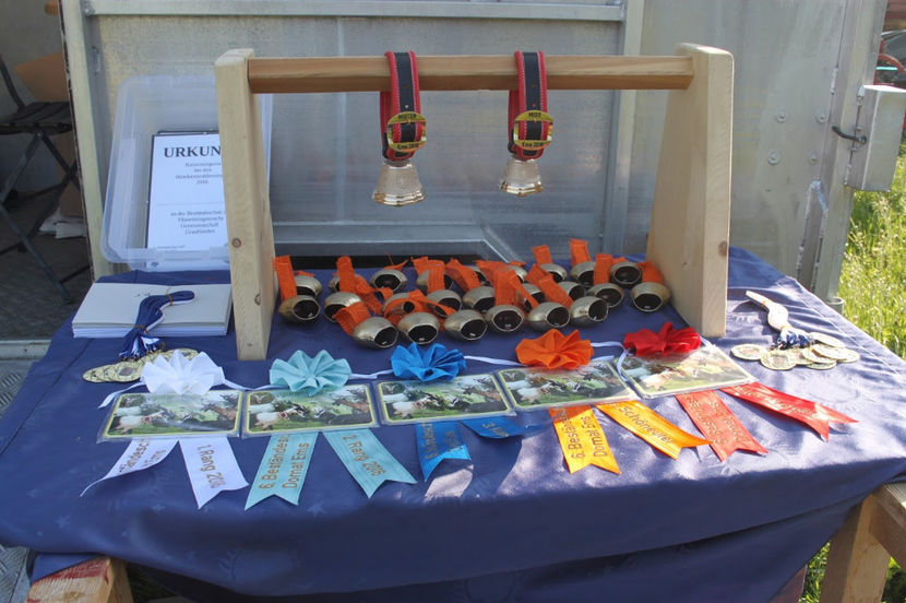 Clopote pt capre si oi - Rase de oi si capre poze deosebite 13