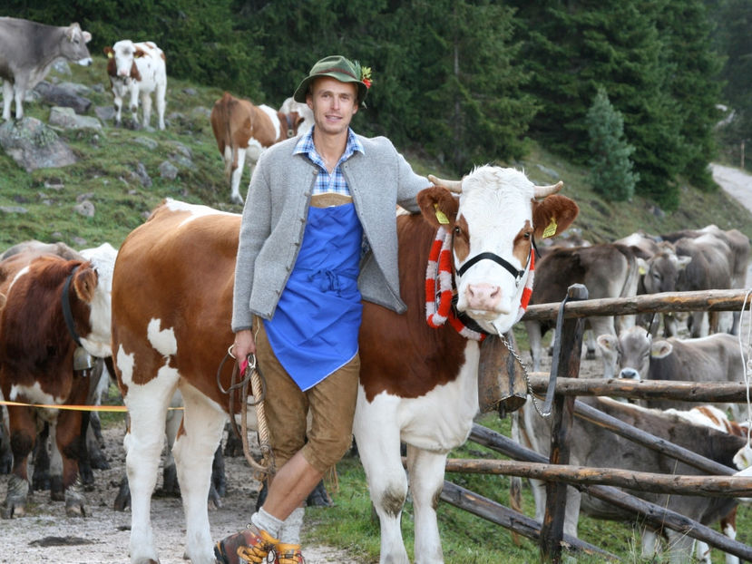 Vacutele din Alpi-5fj - Rase de oi si capre poze deosebite 13