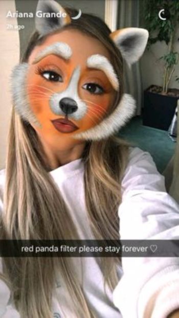 8468764b224c81df52977967847edd9e - SNAPHAT Ariana Grande