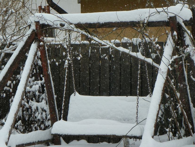 6 ian. 2017 (3) - Iarna in gradina