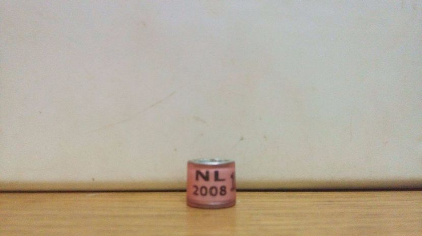 NL 2008 - INELE PENTRU SCHIMB csere gyuru