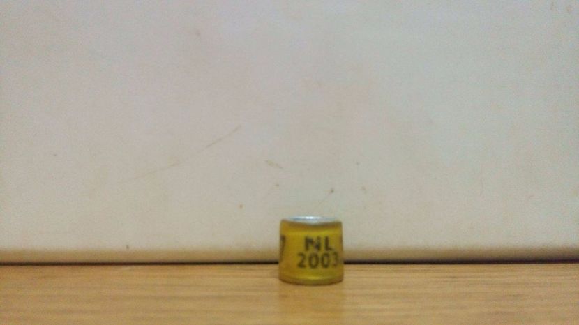 NL 2003 - INELE PENTRU SCHIMB csere gyuru