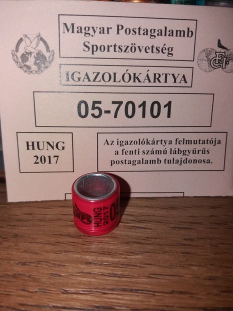 HUNG 2017 - INELE PENTRU SCHIMB csere gyuru