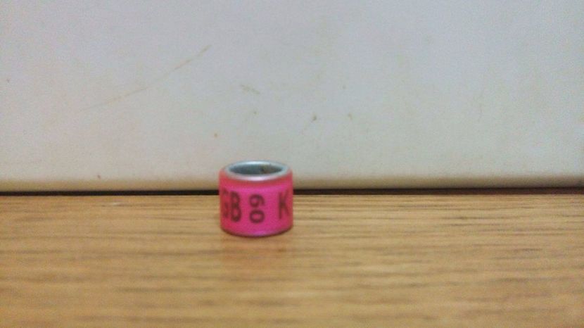 GB  09 K - MAREA BRITANIE GB