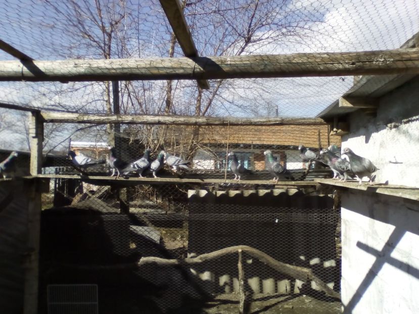  - 05-VOIAJORI STIL VECHI