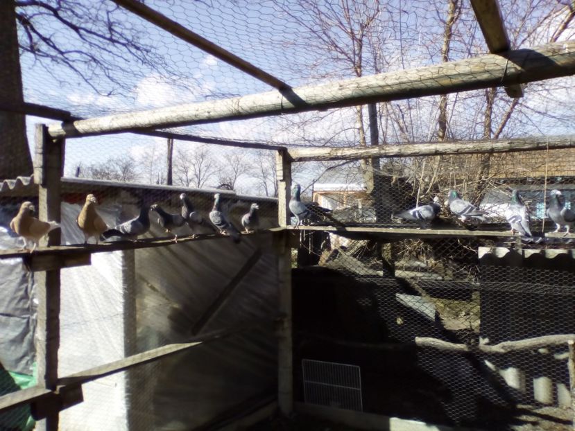  - 05-VOIAJORI STIL VECHI