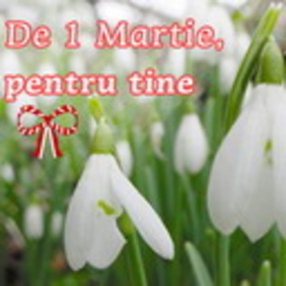 jdghjhgdj - poze 1-8 martie