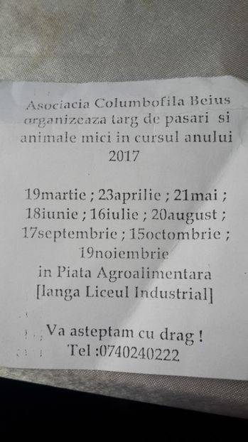 Târguri pentru cei interesați - Boc florin stei jud bihor 0740080394