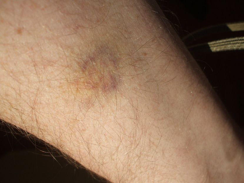  - Detaliu conflict interspecific - 22 februarie 2016