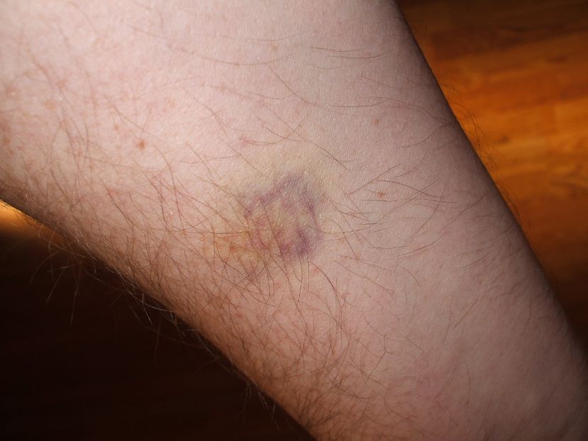  - Detaliu conflict interspecific - 22 februarie 2016