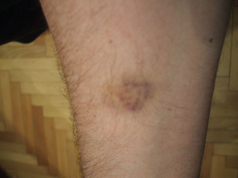  - Detaliu conflict interspecific - 22 februarie 2016