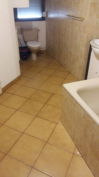  - Lucrari in Lyon 2018