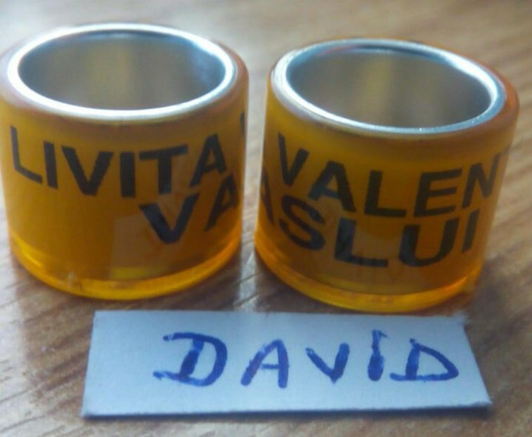  - 9 Inele personalizate