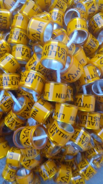  - 9 Inele personalizate