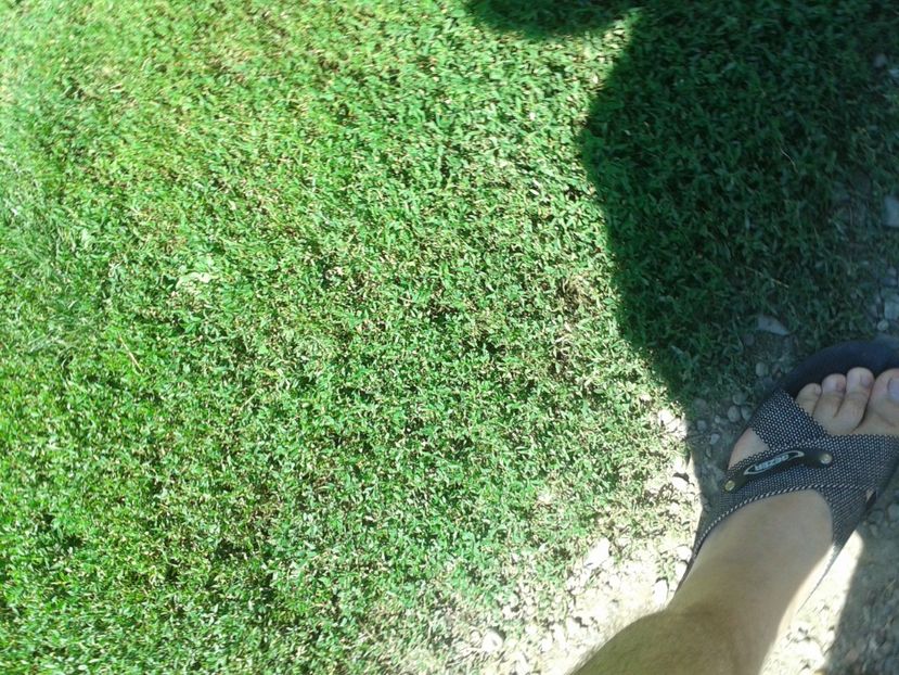  - 06 Gainet 6 august 2016