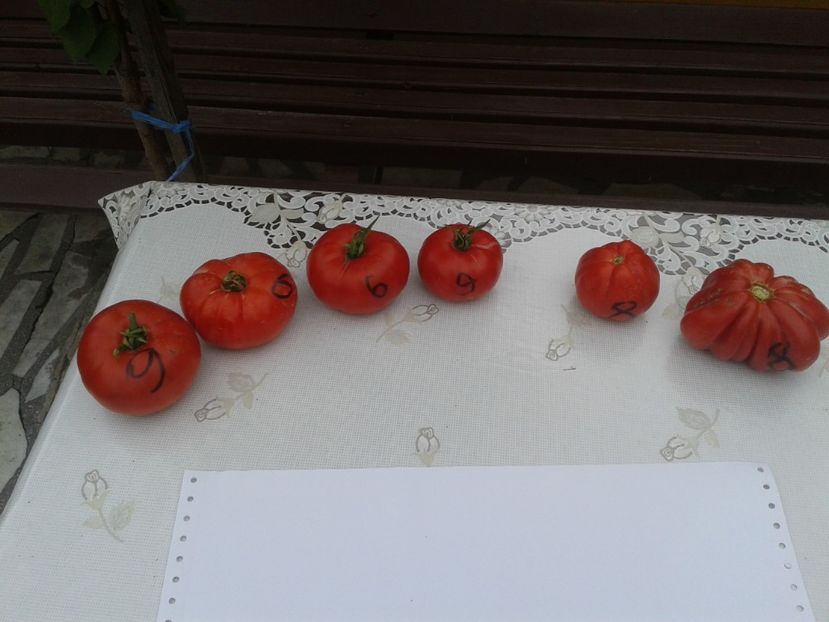  - Colectare seminte 11 august 2016