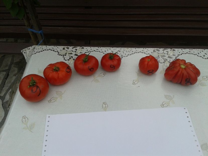  - Colectare seminte 11 august 2016