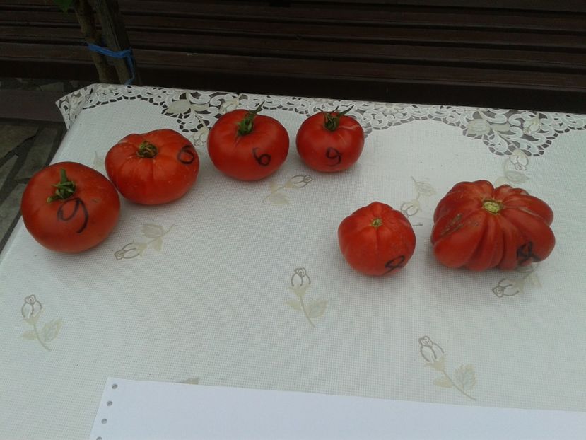  - Colectare seminte 11 august 2016