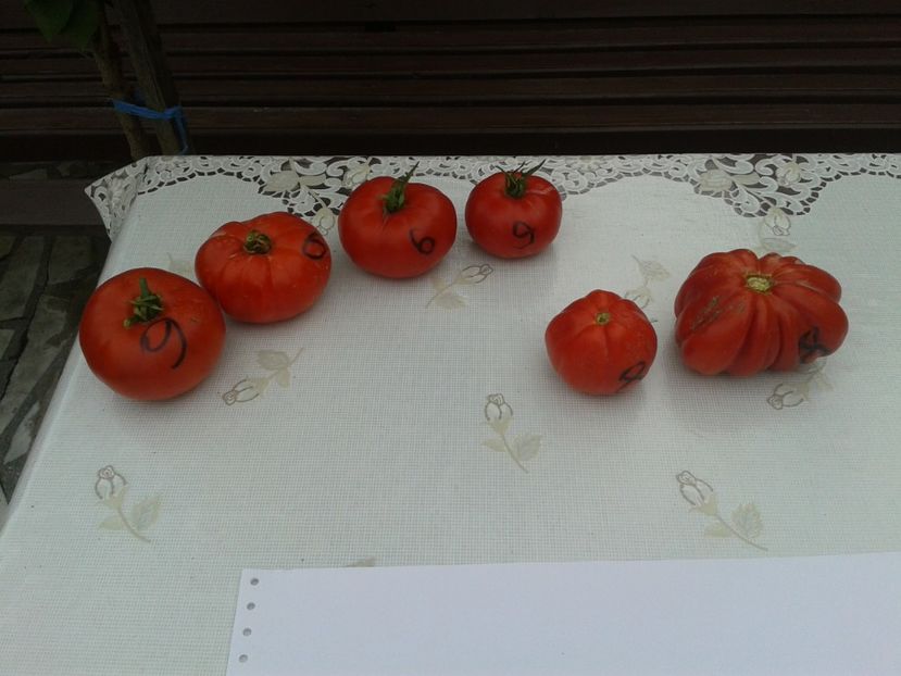  - Colectare seminte 11 august 2016