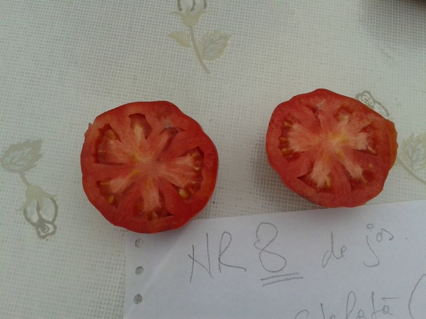  - Colectare seminte 11 august 2016