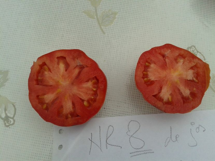  - Colectare seminte 11 august 2016