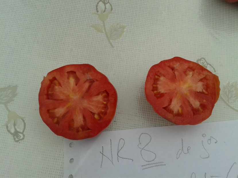  - Colectare seminte 11 august 2016