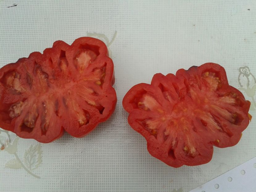  - Colectare seminte 11 august 2016