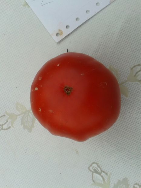  - Colectare seminte 11 august 2016