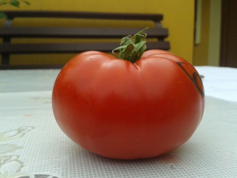  - Colectare seminte 11 august 2016