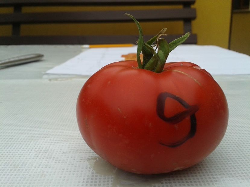  - Colectare seminte 11 august 2016